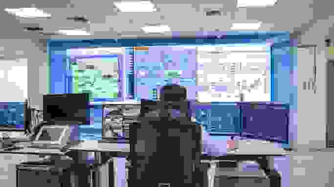 Pest free Environment