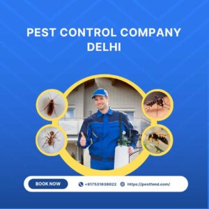 PEST-CONTROL-COMPANY-DELHI