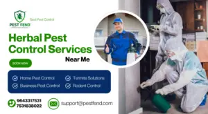 Herbal Pest Control Near Me
