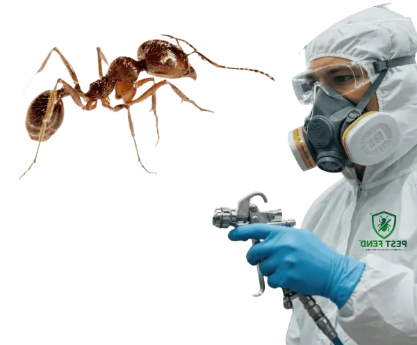 Ants-Control