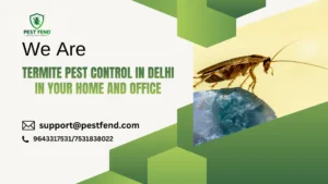 Termite Pest Control in Delhi in your home and office